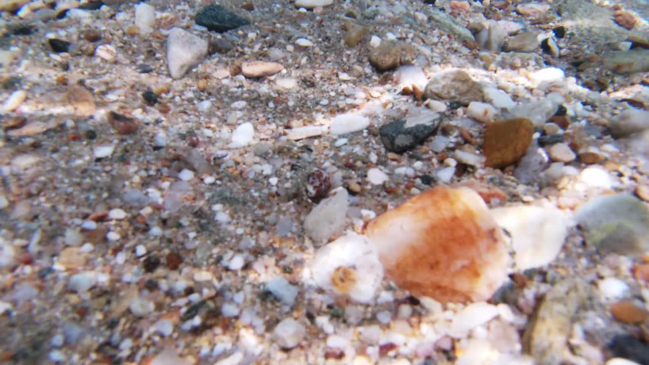 多石的海底视频素材