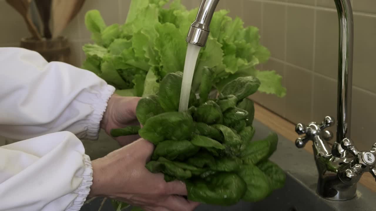 在厨房用流水洗菠菜叶。健康饮食视频素材