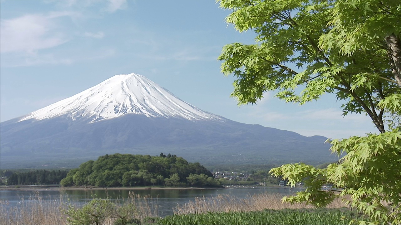 富士山和川口子视频素材