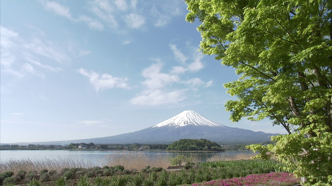 富士山和川口子视频素材