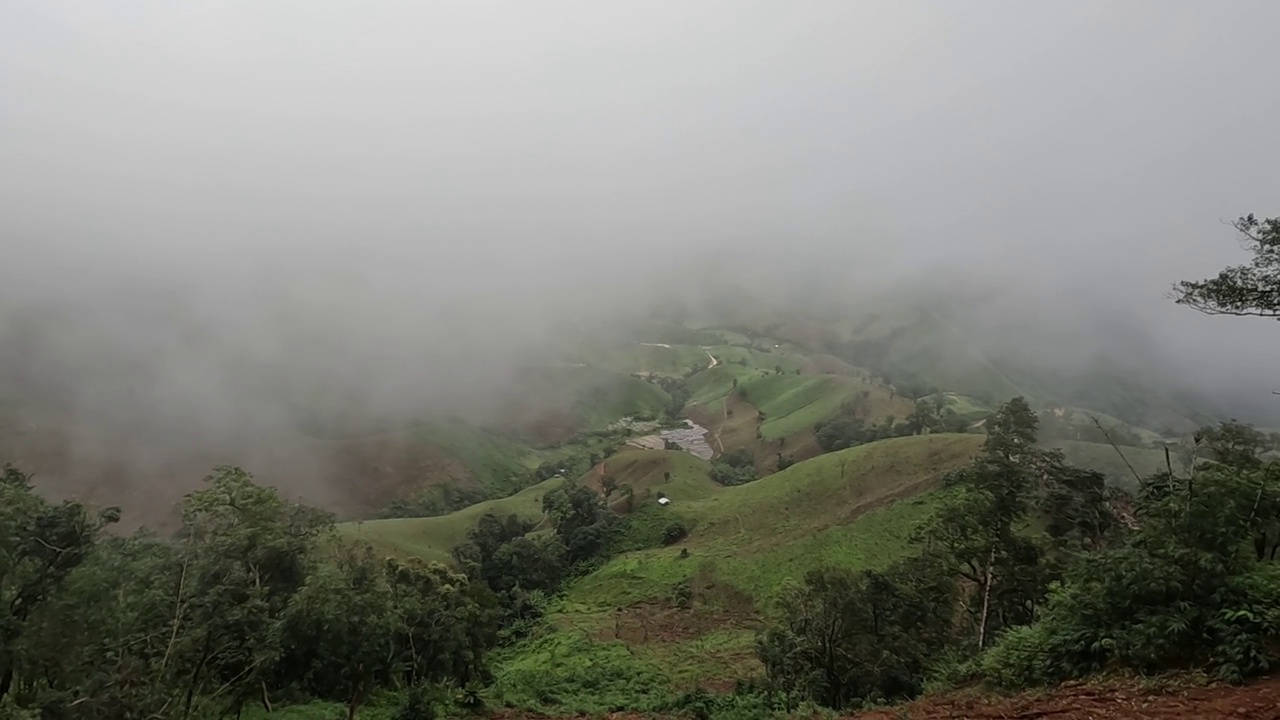 雾和山。视频素材