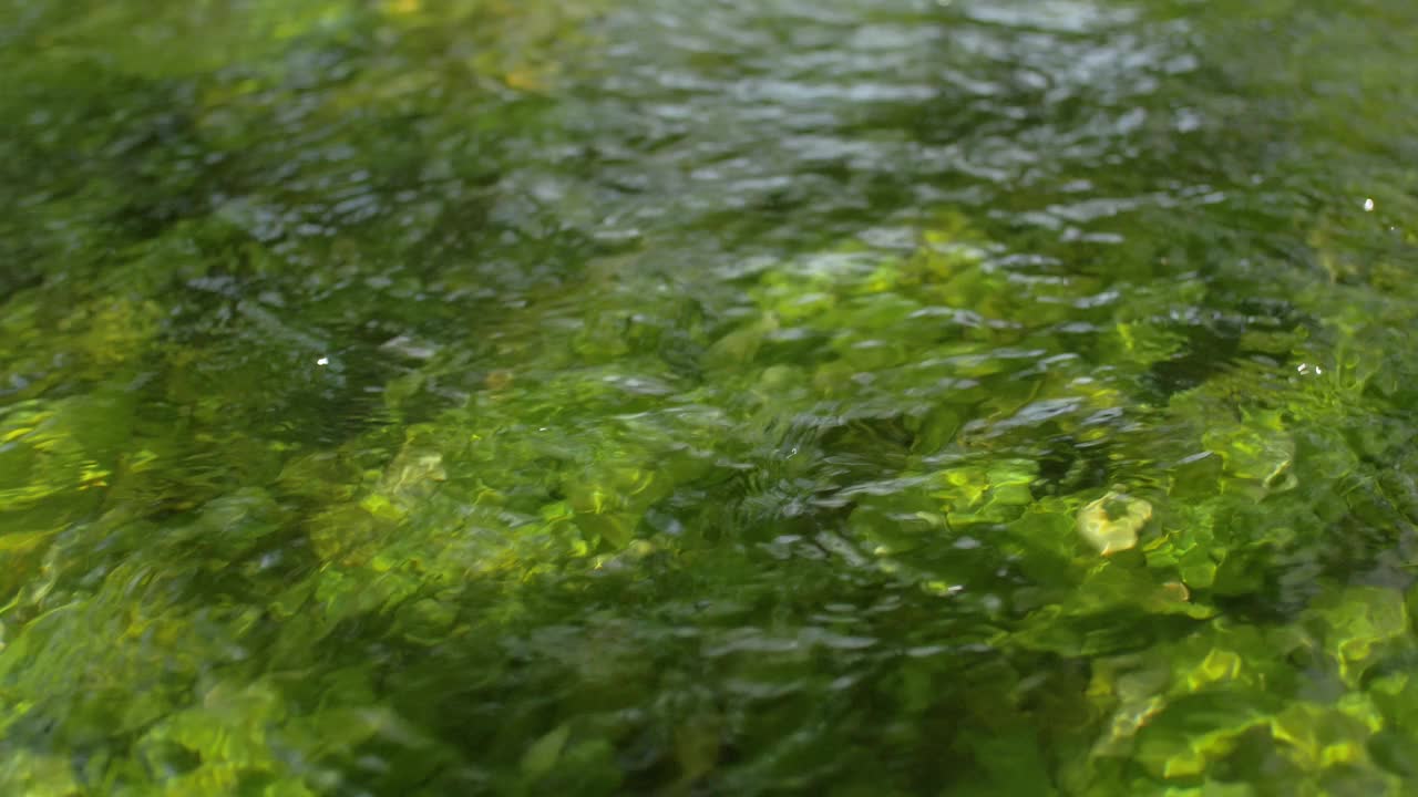 波士尼亚山区河流半透明的水特写视频素材