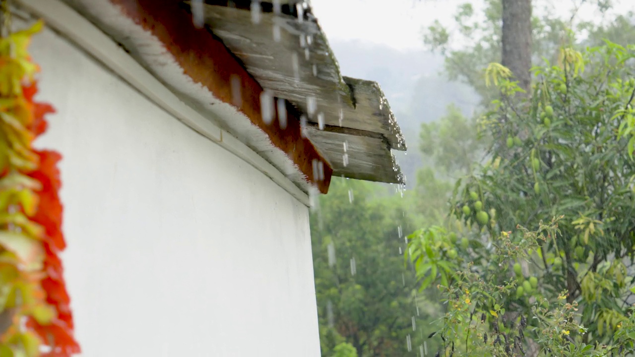 雨季时，雨水从老房子的屋顶落在树木和植物上视频素材