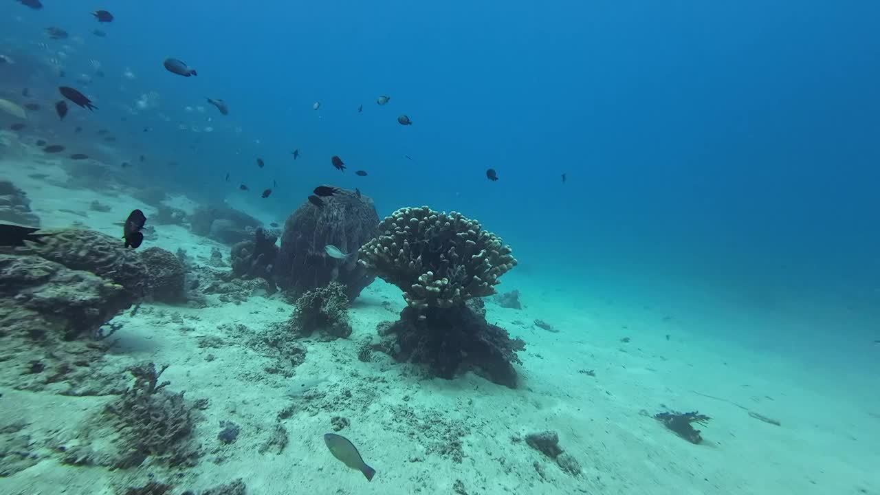 水下的场景。视频素材