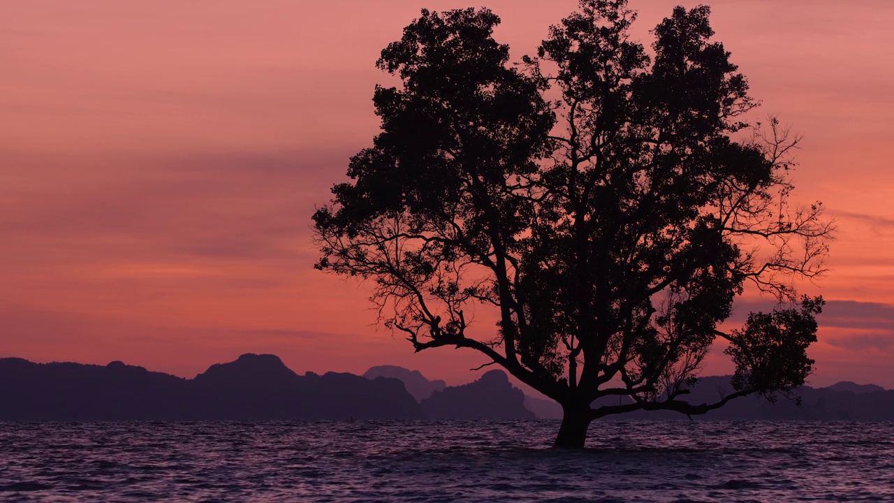 热带海滩橙色和金色的夕阳天空夏天的背景。视频素材