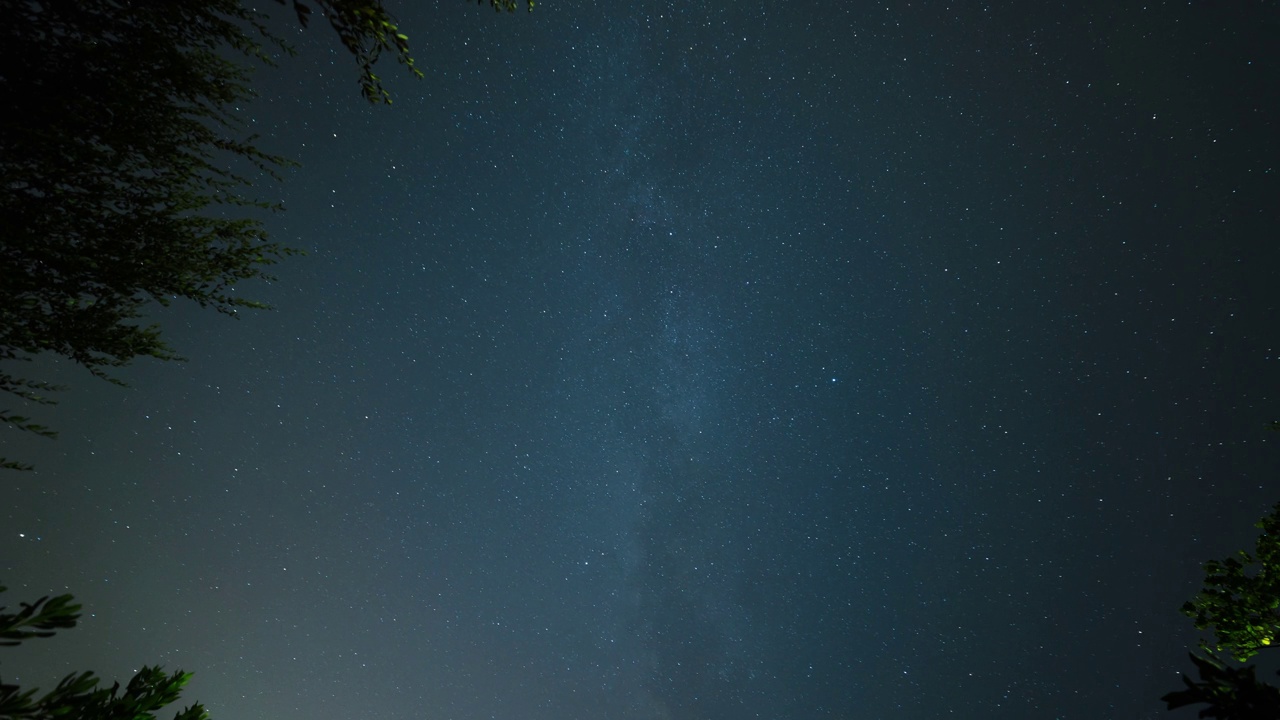 夜晚，星星和银河在橄榄树和橘子树后面移动视频素材