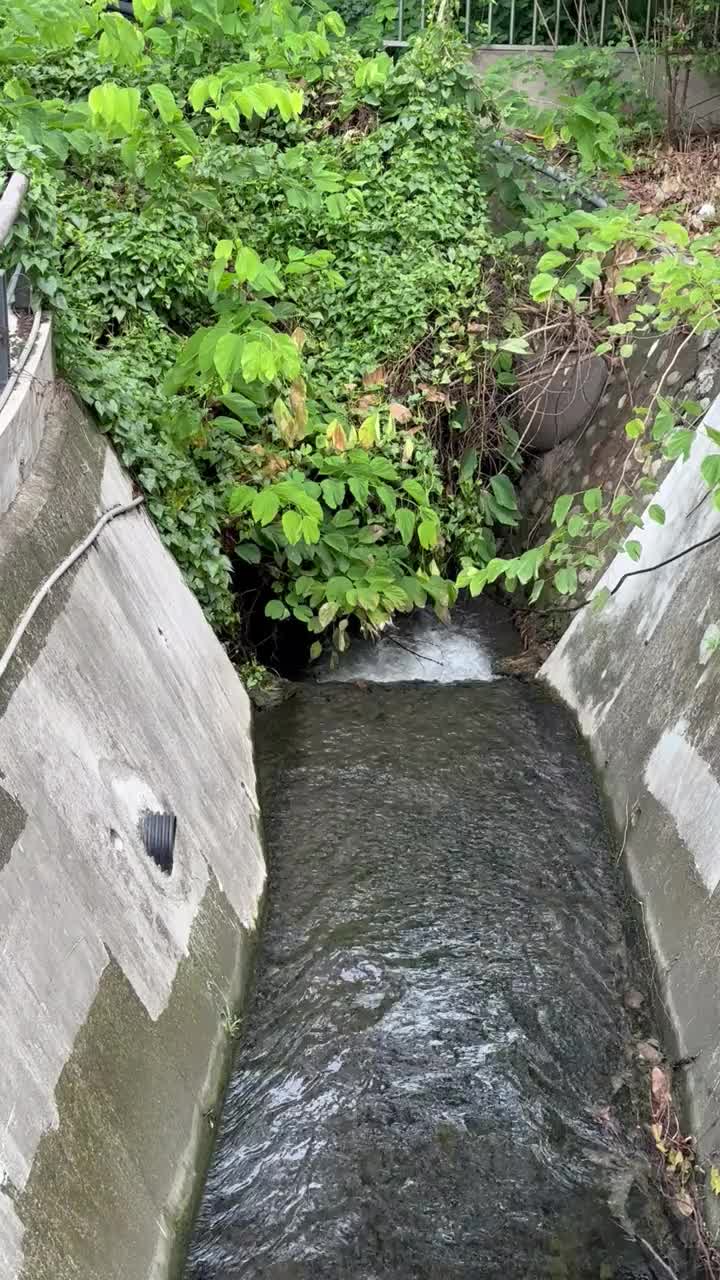 在台南市有一条清澈的河视频素材