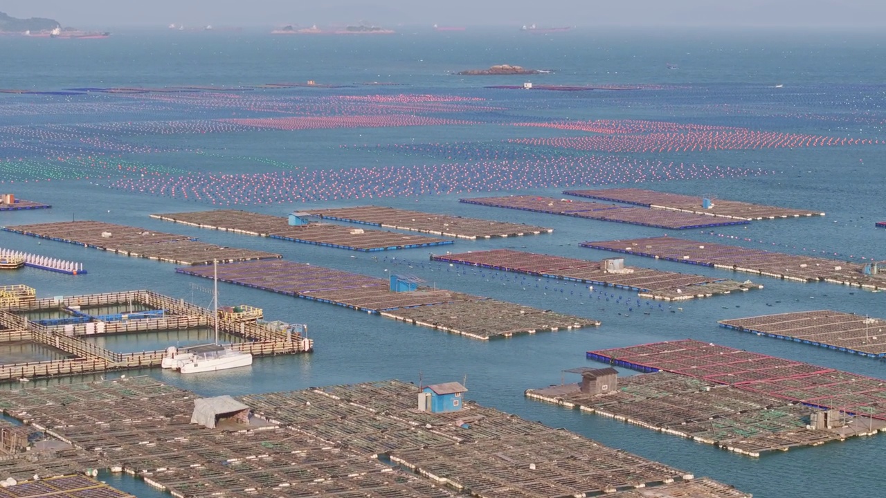 海水养殖场视频素材