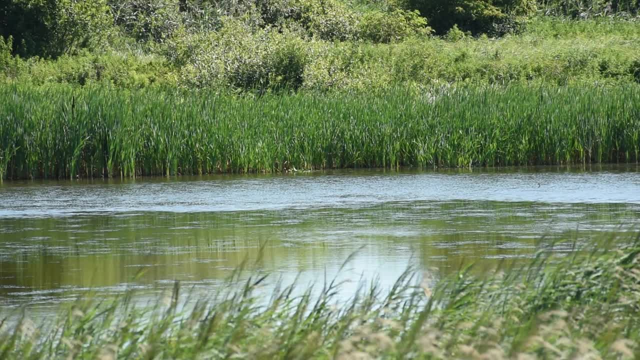 湖面上的波浪视频素材