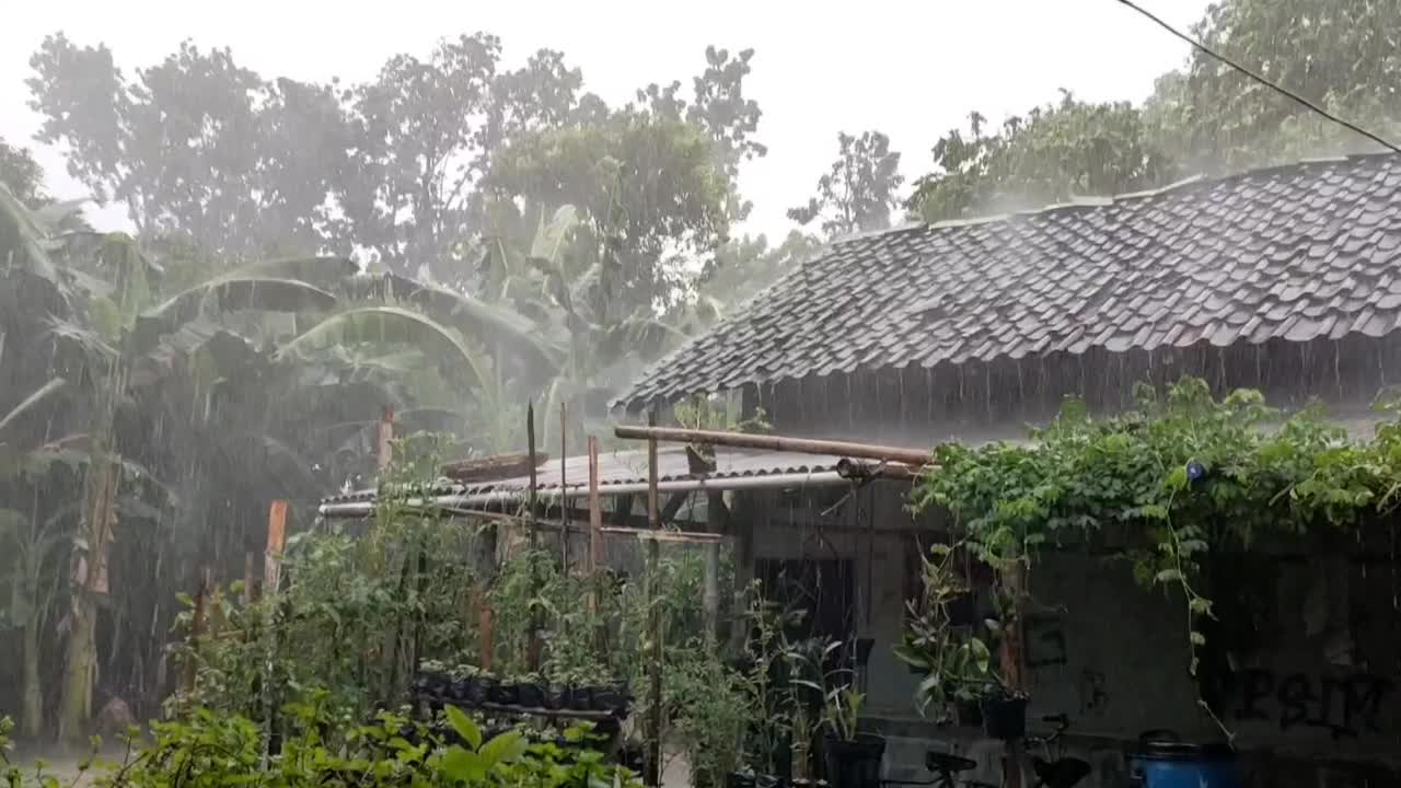 乡村的雨视频素材