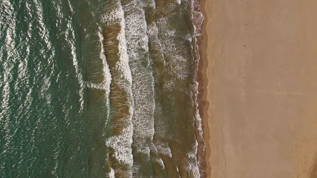 热带沙滩伊兹图祖海龟海滩和平静的蓝色大海，土耳其。自然无缝循环剪辑的热带空海滩与无限翻滚的海浪视频素材