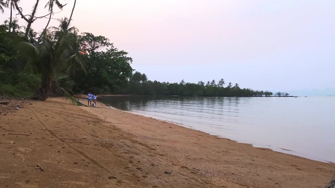 一对快乐的年轻夫妇带着他们的狗在海滩上散步视频素材