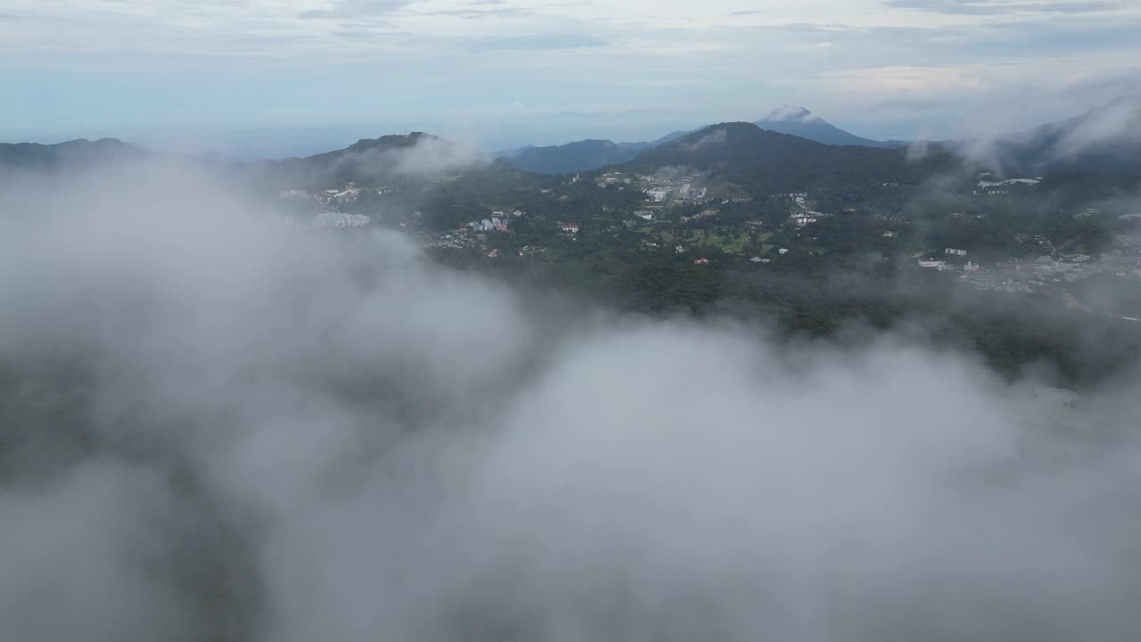 清晨的低云笼罩着森林和种植园视频素材