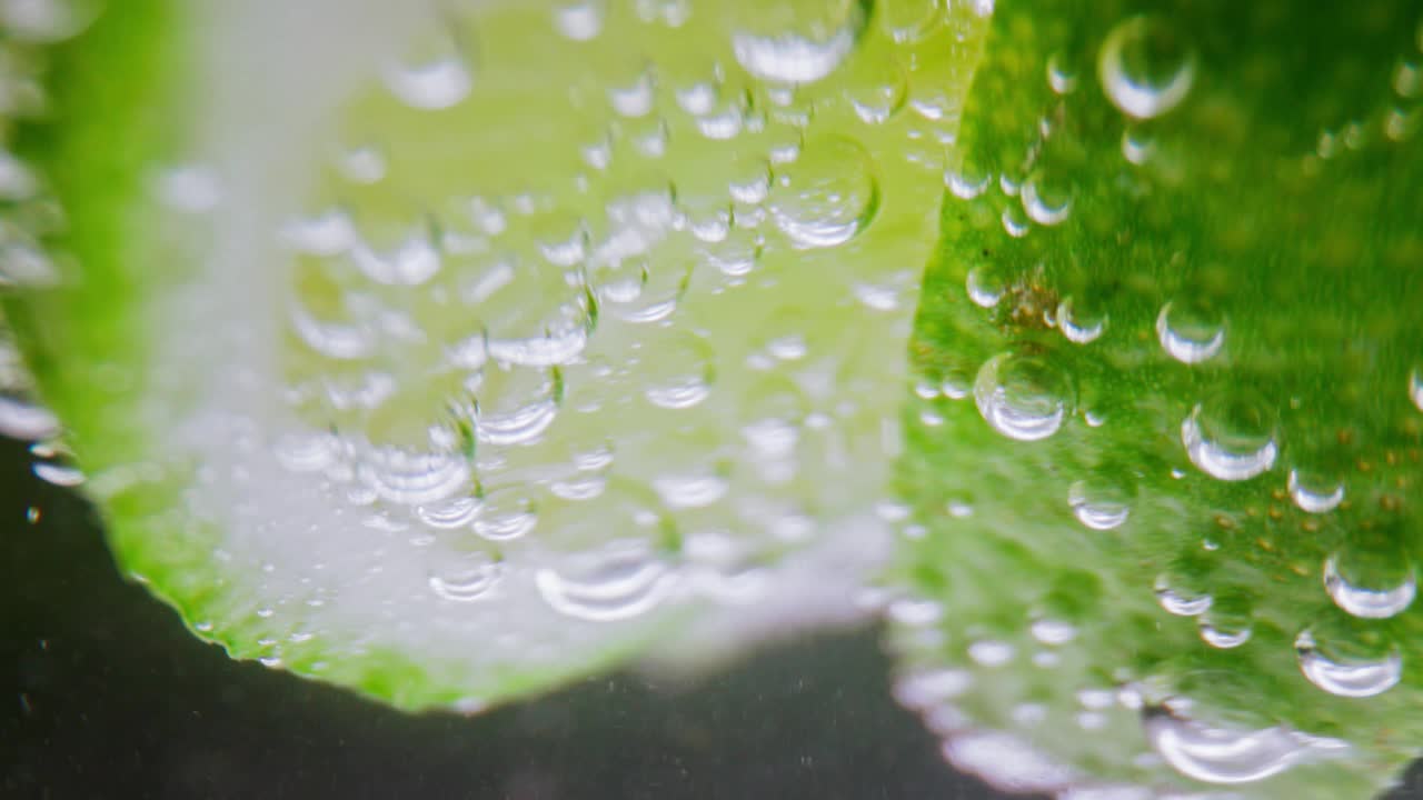 气泡饮料和柠檬片在玻璃杯近距离。在工作室里用微距镜头在家里制作伏特加或白朗姆酒的酸酒鸡尾酒。饮用气泡水作为排毒液或纯矿泉水视频下载