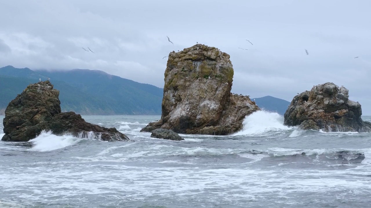 海景。视频素材