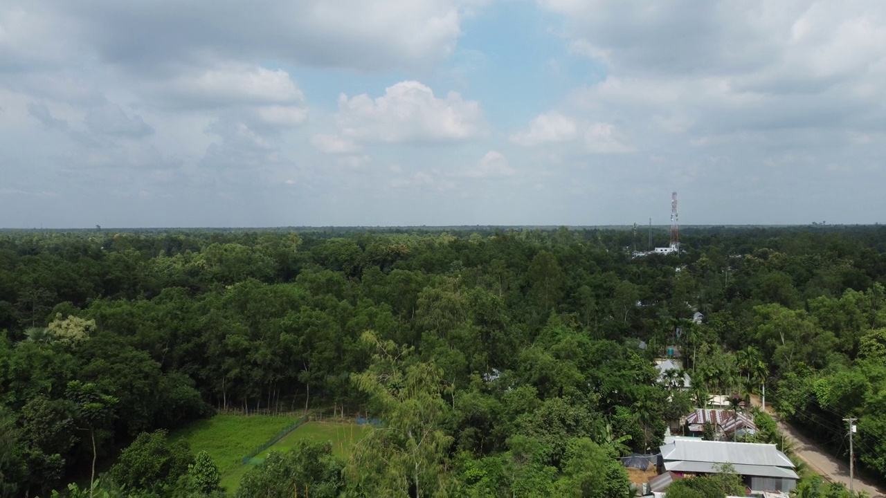 孟加拉国风景如画的乡村风景，点缀着茂密的树木和传统的定居点视频素材