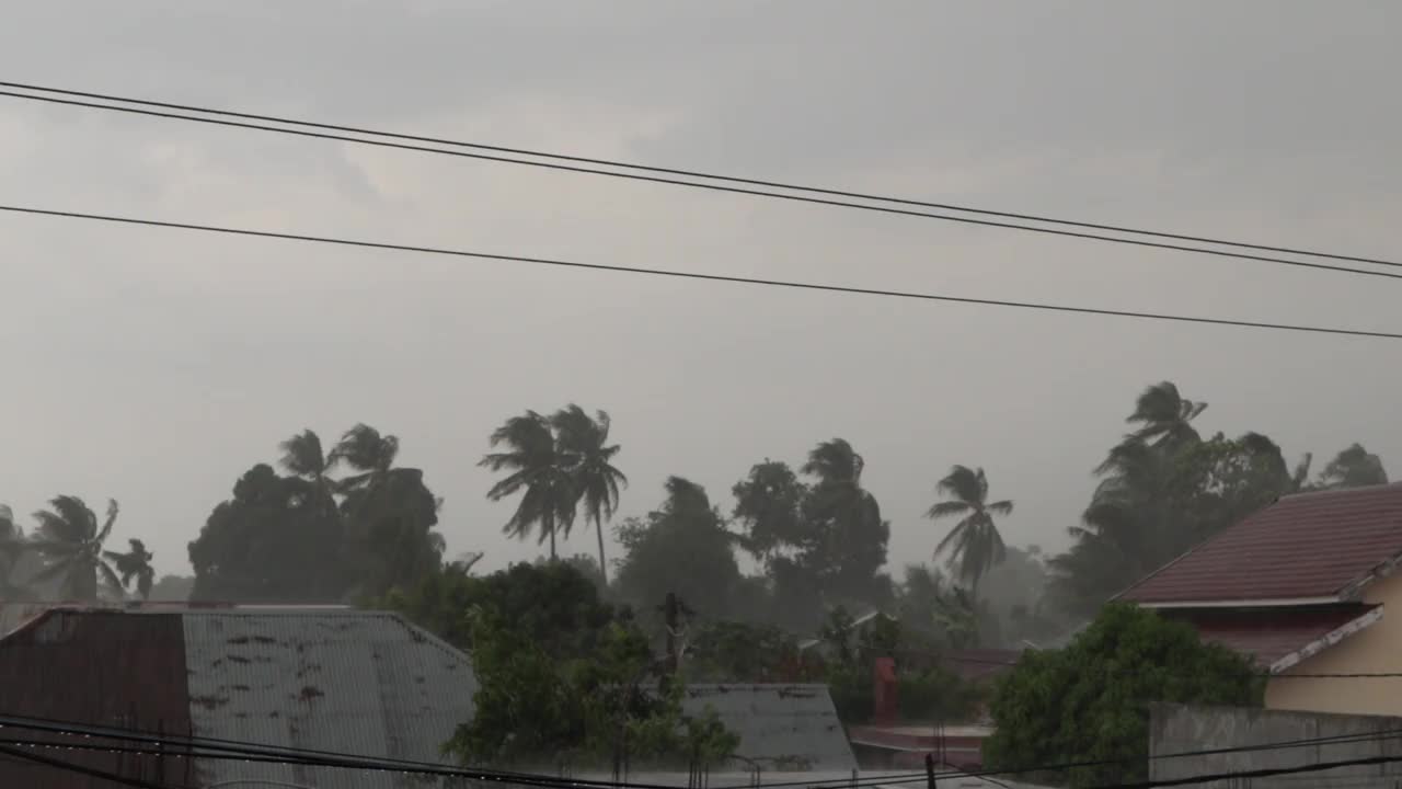 暴雨视频下载