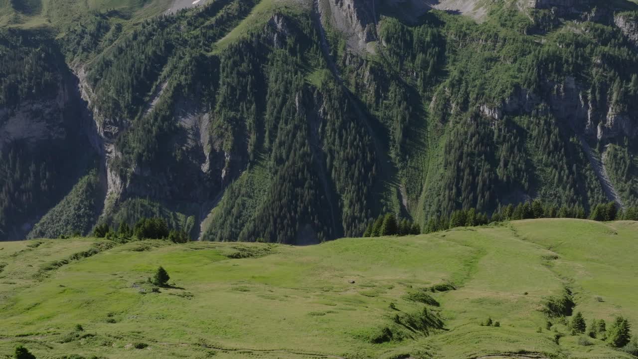 高空无人机拍摄的高山景观和身后的雪山视频素材