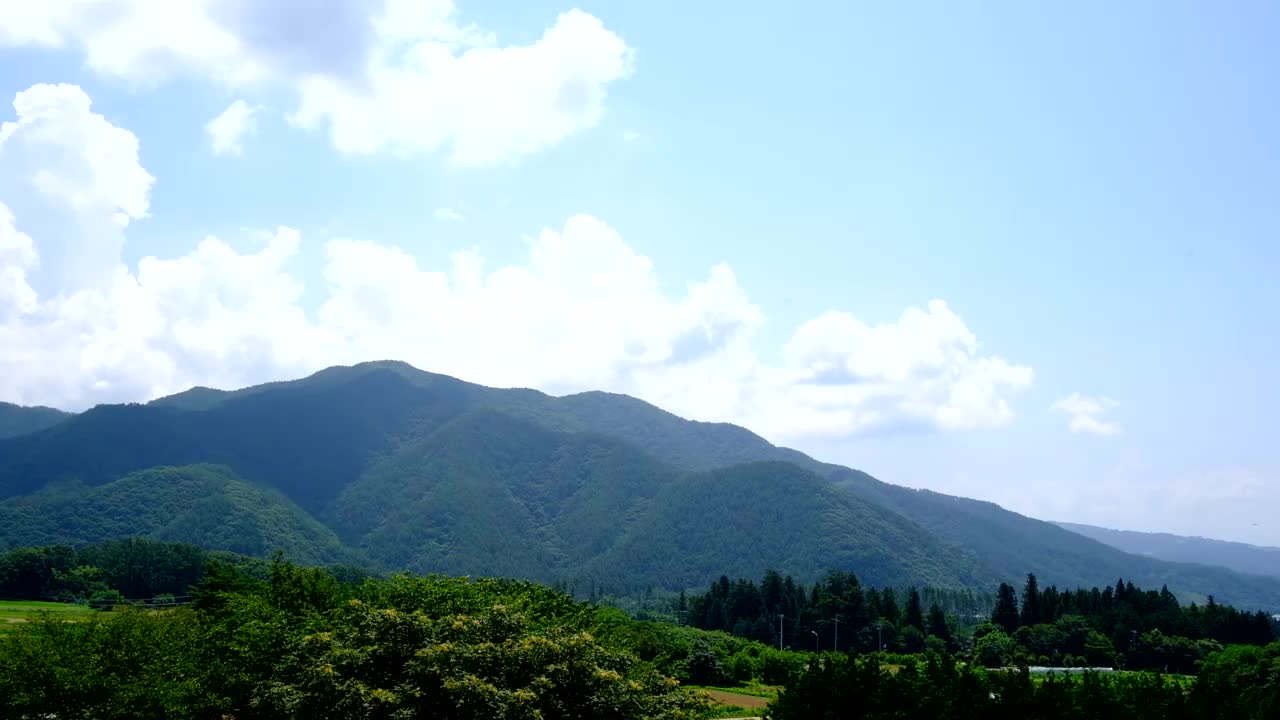 一群燕子在天空中飞翔，山林苍穹视频下载