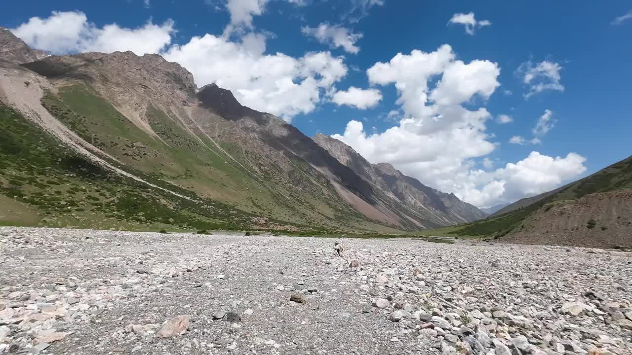 山谷越野驾驶。汽车的观点视频素材