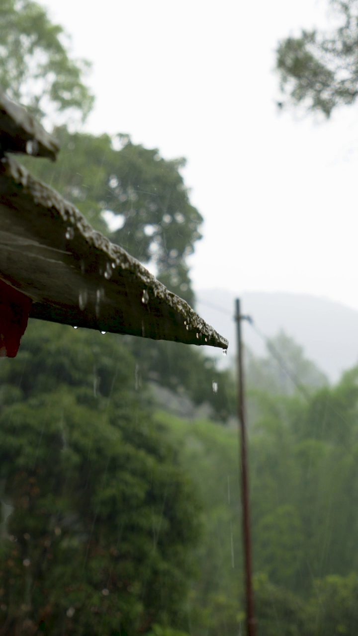 雨季时，雨水从老房子的屋顶落在树木和植物上视频素材