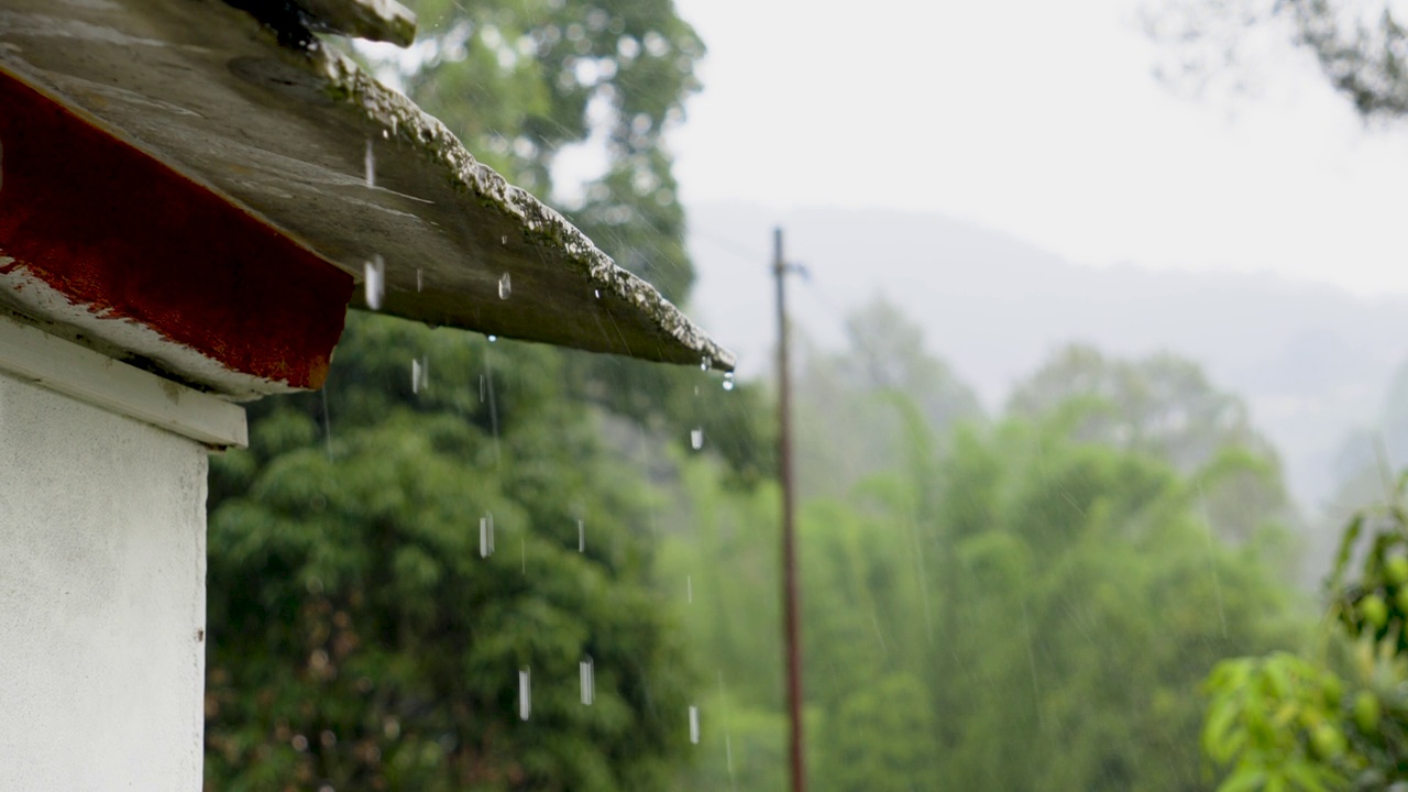 雨季时，雨水从老房子的屋顶落在树木和植物上视频素材