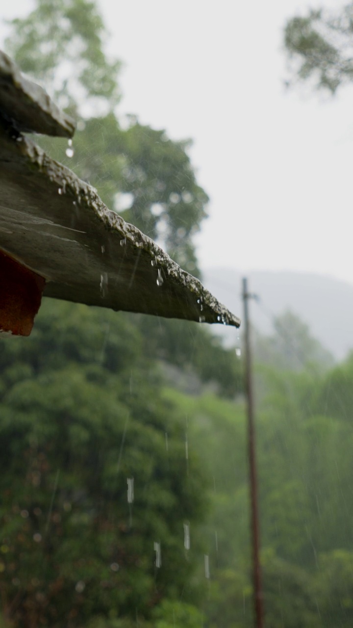 雨季时，雨水从老房子的屋顶落在树木和植物上视频素材