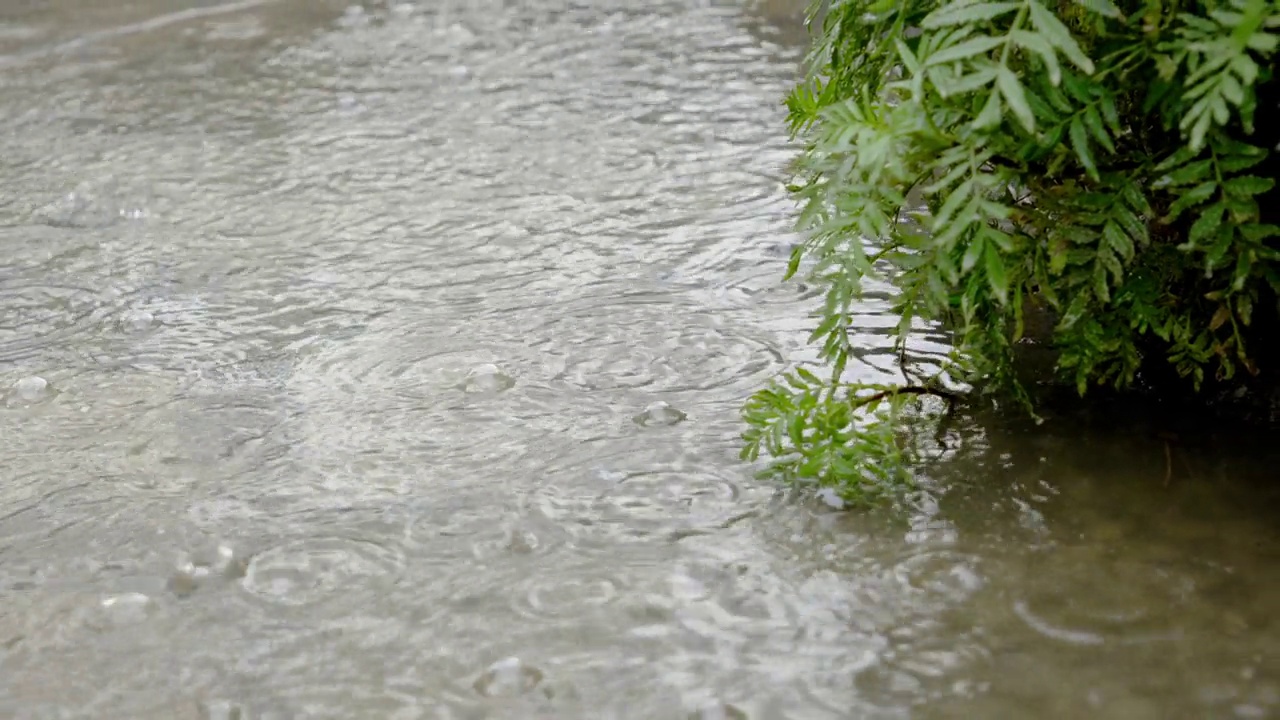 季风天气下雨滴的高角度视角视频素材