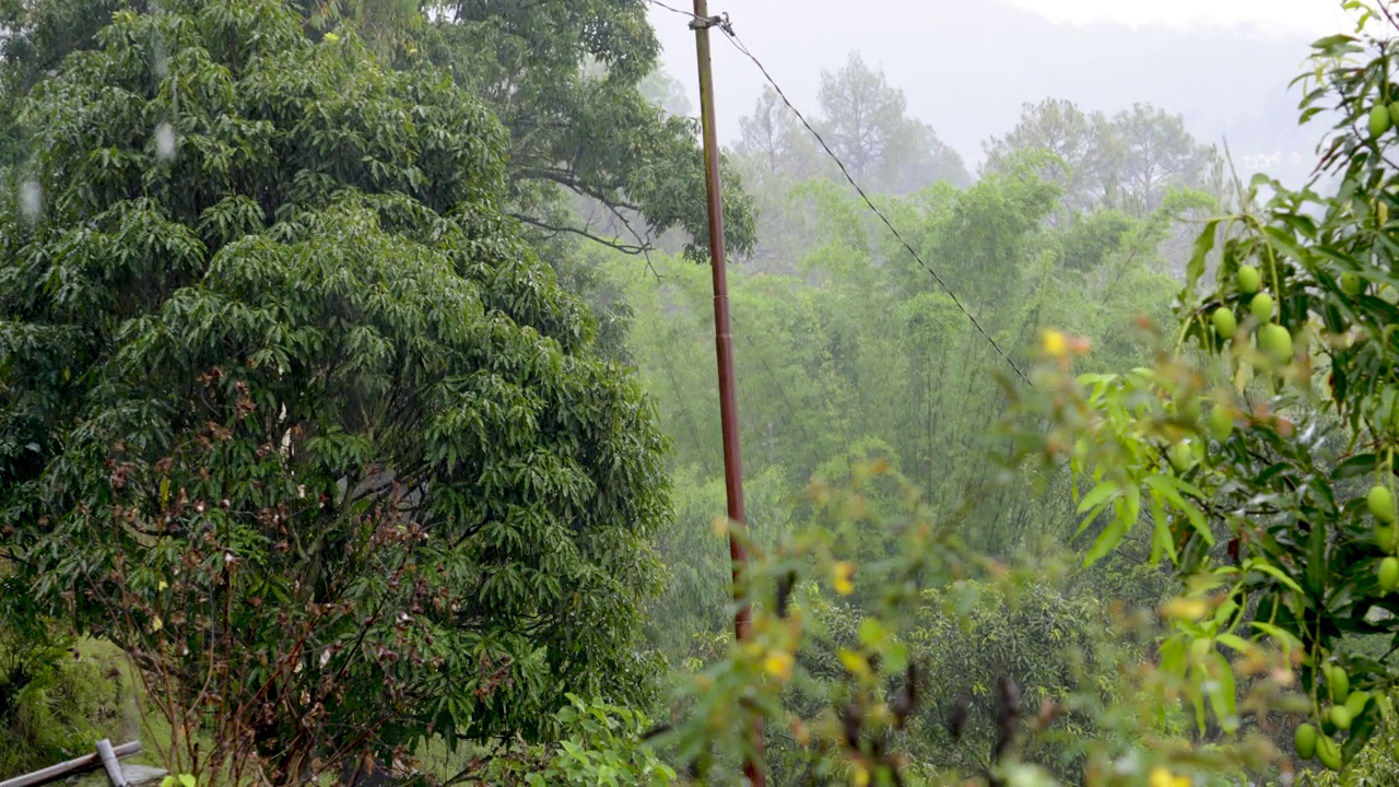 雨季时，雨水从老房子的屋顶落在树木和植物上视频素材