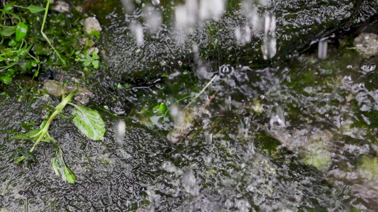 季风天气下雨滴落在湖面上的高角度视角视频素材