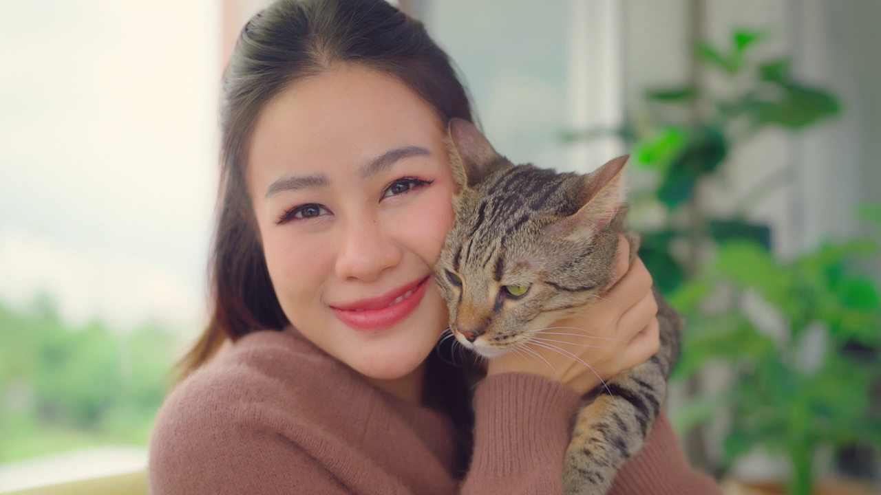 漂亮的亚洲女人和她的猫躺在沙发上。视频素材