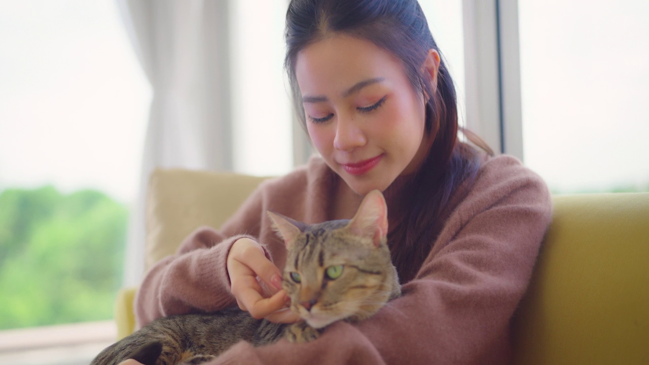 漂亮的亚洲女人和她的猫躺在沙发上。视频素材