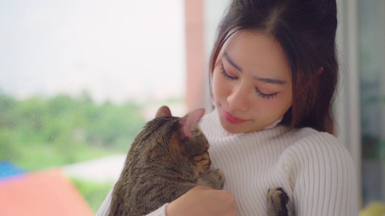 年轻的亚洲女人在家里的客厅里笑着玩猫。视频素材