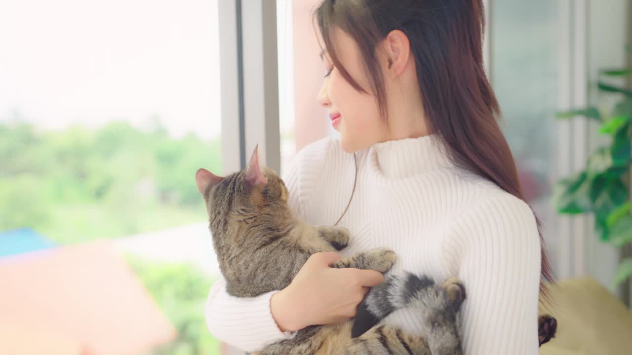 年轻的亚洲女人在家里的客厅里笑着玩猫。视频素材