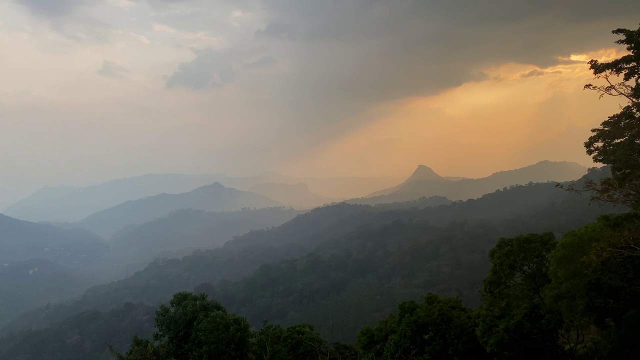 美丽的绿色景观穆纳尔茶园在夕阳下，喀拉拉邦，印度南部视频素材