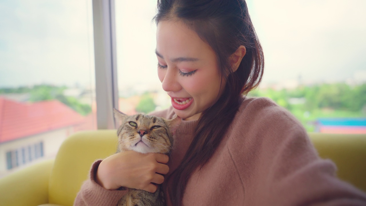 漂亮的亚洲女人和她的猫躺在沙发上。视频素材