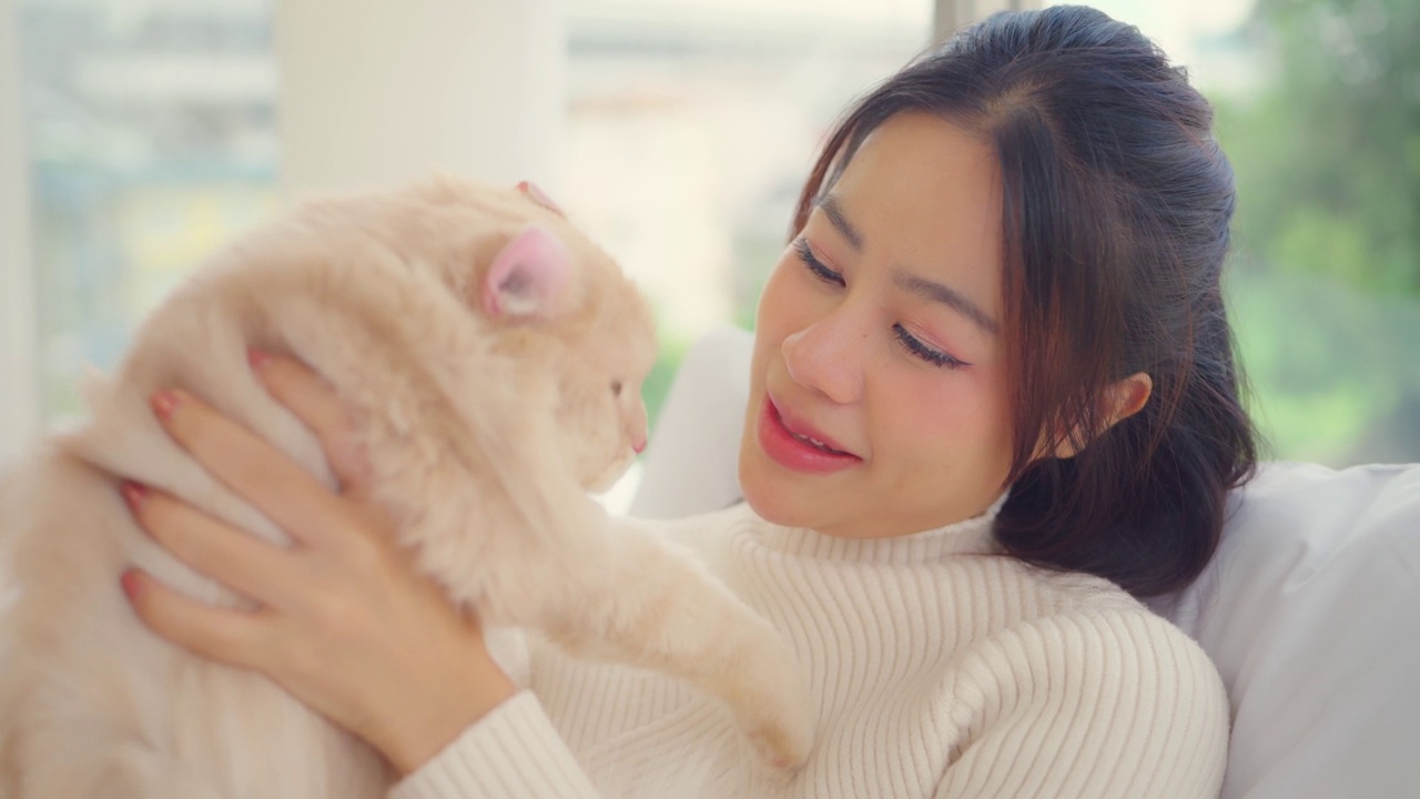 年轻的亚洲女人在家里的客厅里笑着玩猫。视频素材