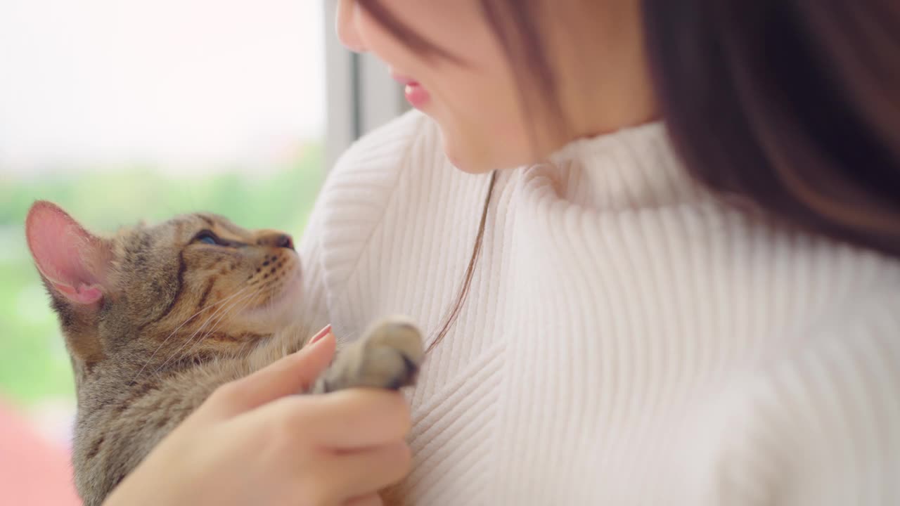 年轻的亚洲女人在家里的客厅里笑着玩猫。视频素材