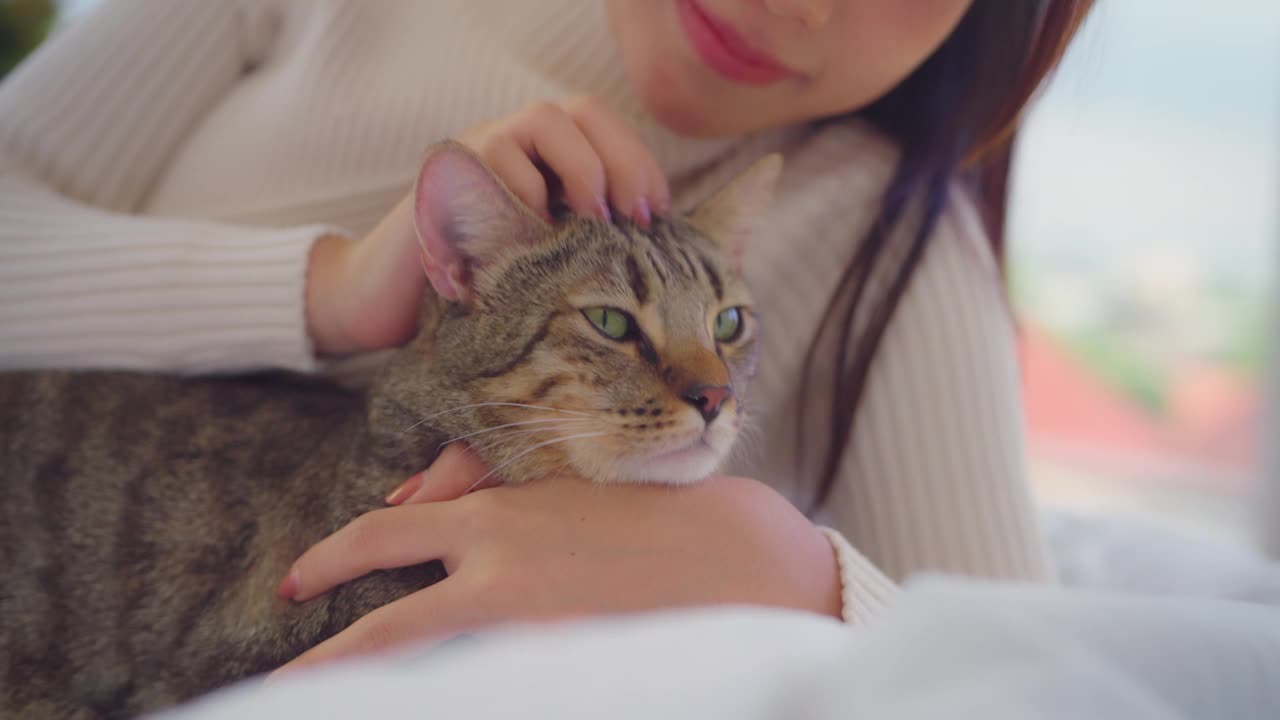 年轻的亚洲女人在家里的客厅里笑着玩猫。视频素材