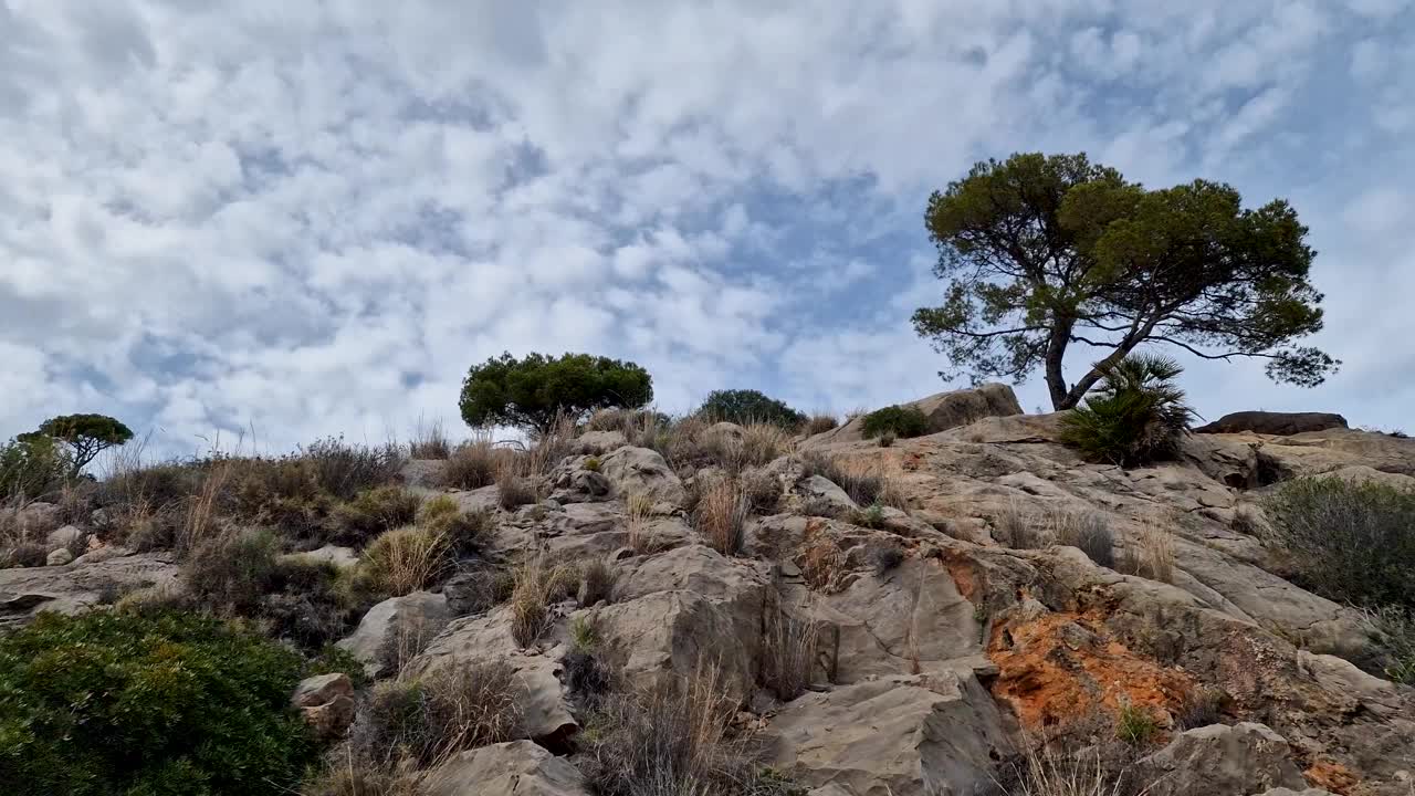 夏天漫步在西班牙海岸的山丘上视频素材