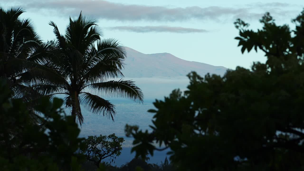 夏威夷希洛的莫纳克亚火山视频素材