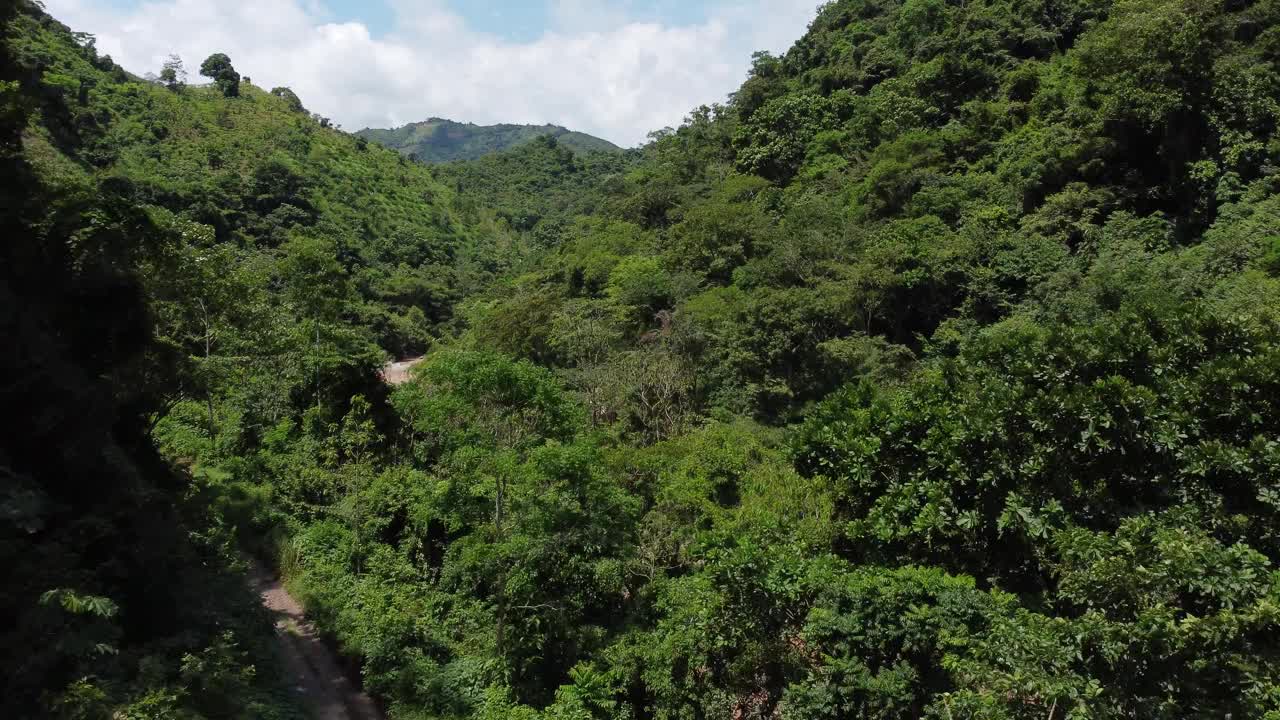 摄像机在绿树之间升起，揭示了哥伦比亚热带丛林中的山谷和河流，云天航拍视频视频素材