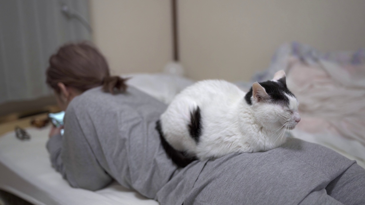 在家里的床上，猫咪在十几岁的女孩身上放松。视频下载