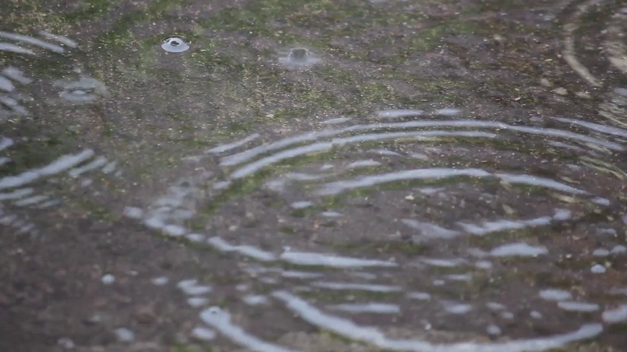 雨下降。视频下载