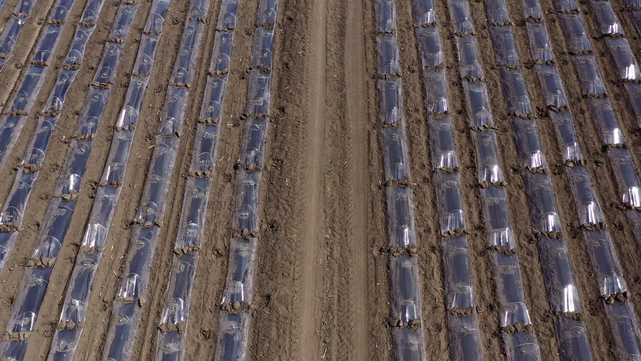 无人机拍摄西瓜种植地膜隧道温室设备航拍图视频素材