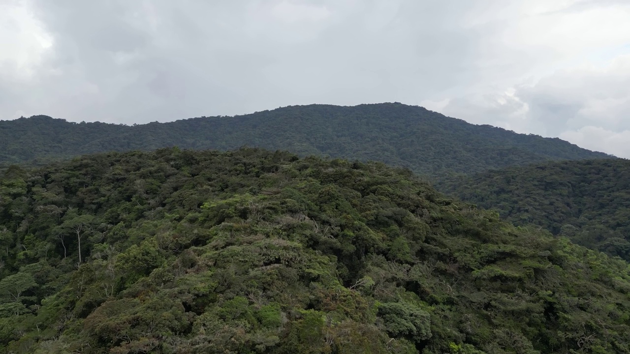 飞机飞过高地森林视频素材