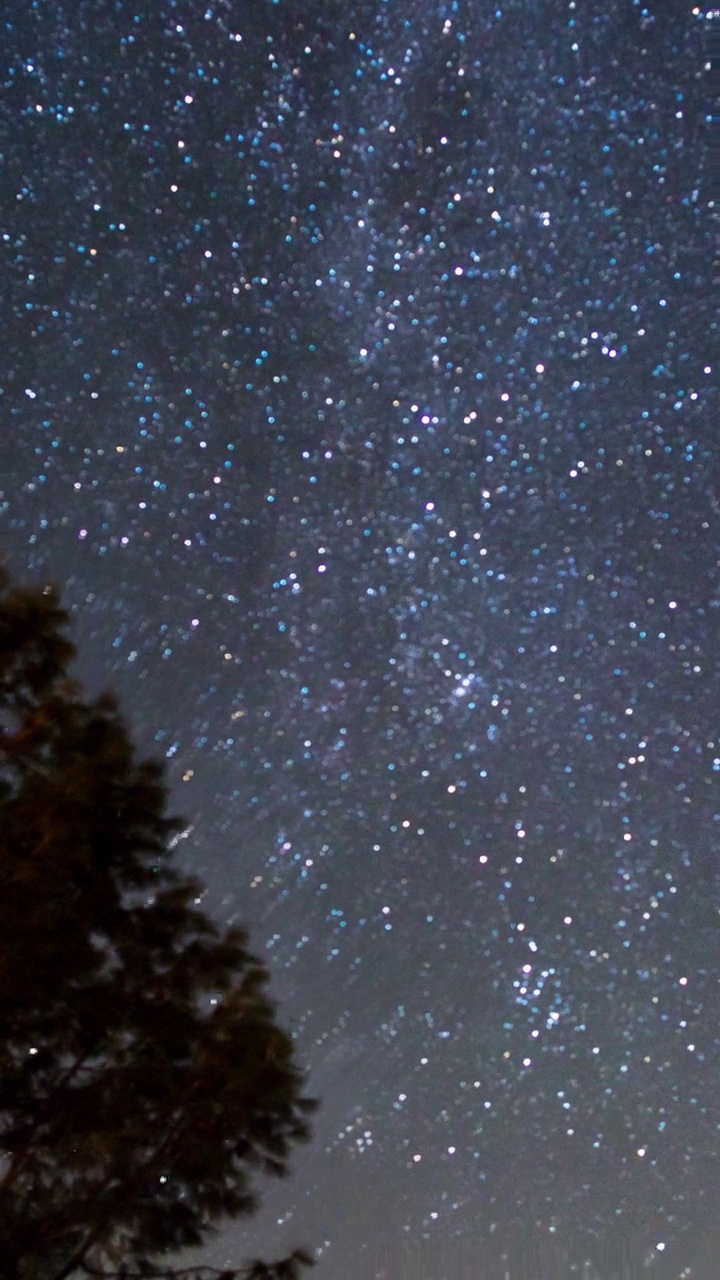 夜空和树梢上的星星视频素材