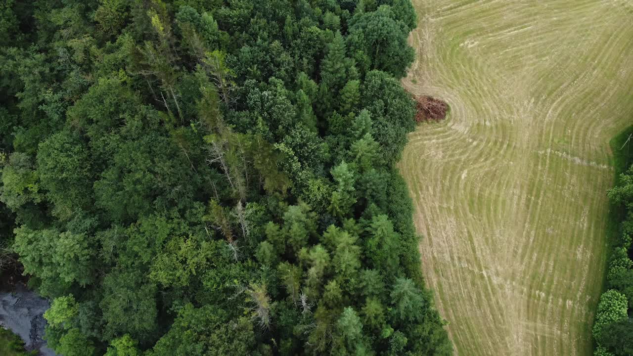 乡村景观:俯瞰绿色农田，与西班牙巴斯克地区的森林接壤视频下载