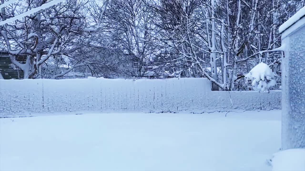 第一场雪视频素材