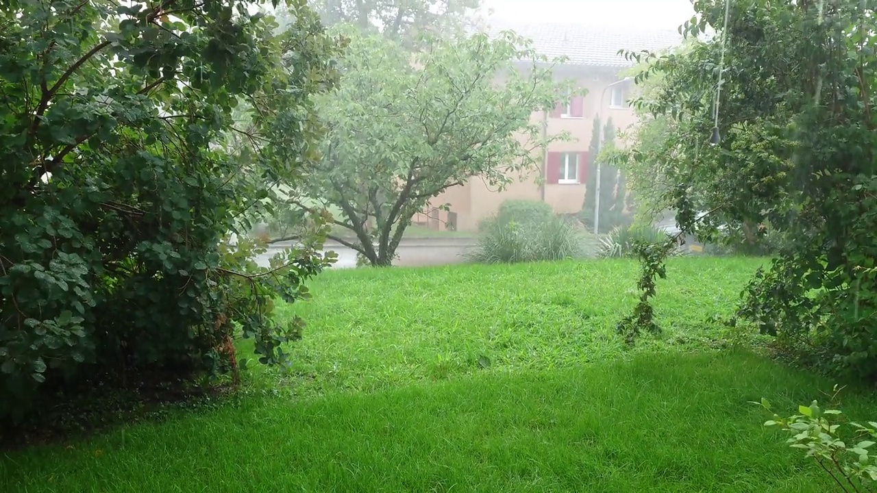 夏季大雨落在房子的花园或院子里。绿油油的植被随风摇曳，实时，无人视频素材